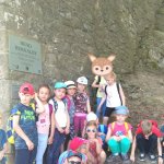 phoca_thumb_m_veverky 15 Fotogalerie